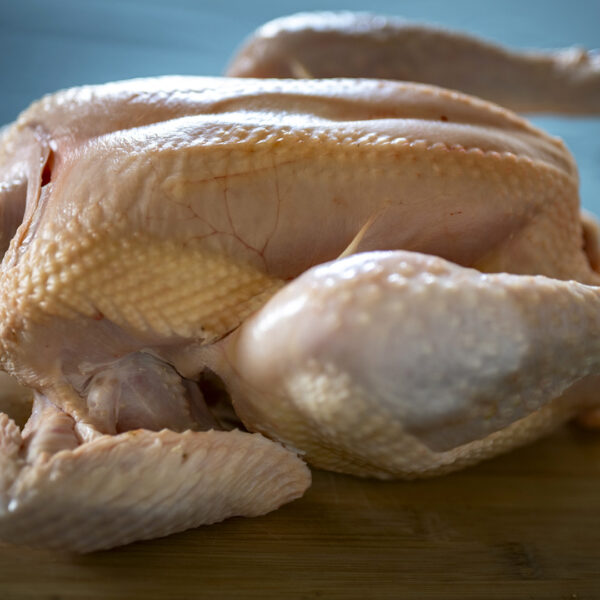 Poulets – Image 2